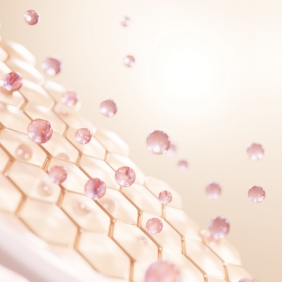 コラーゲン生成促進